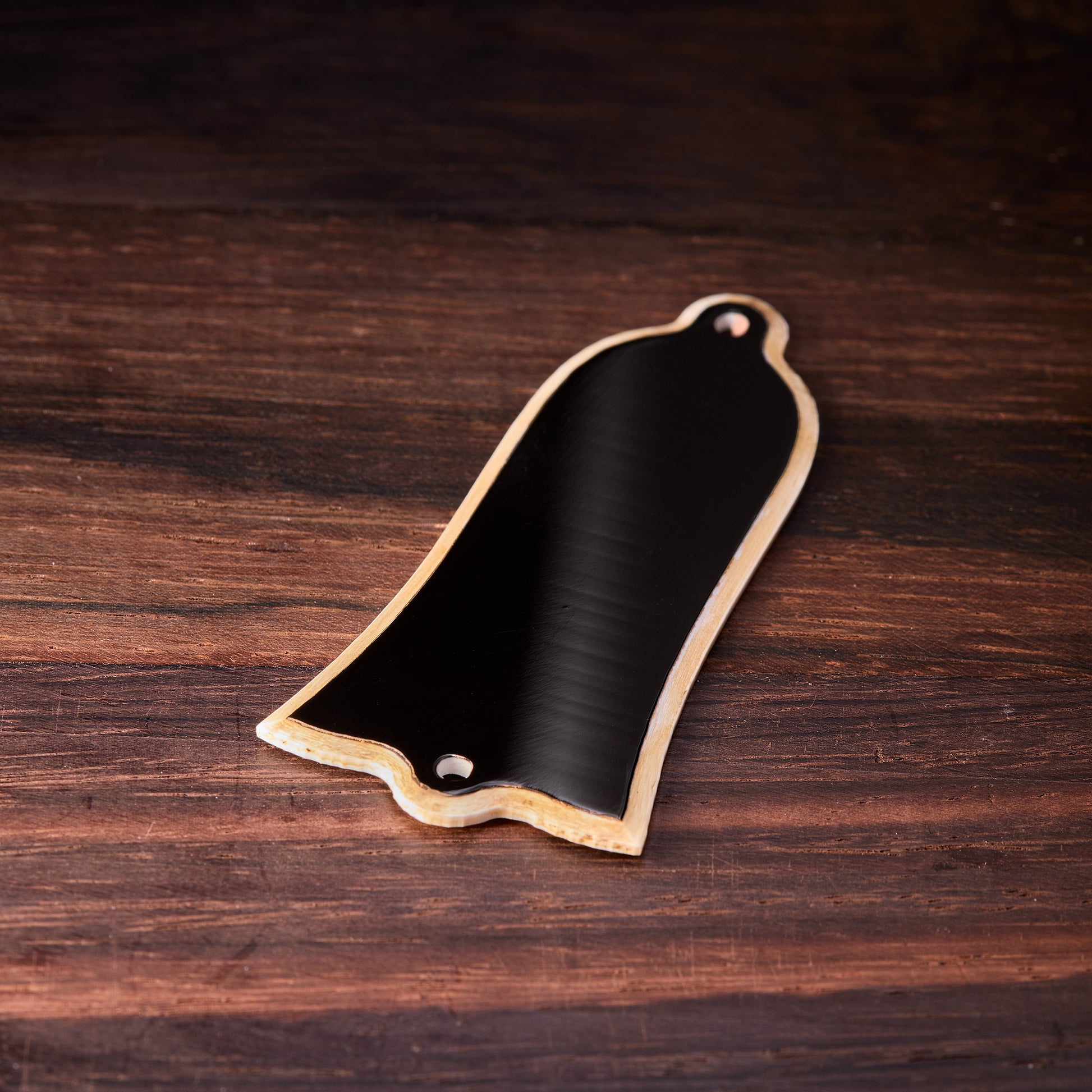 RetroSpec Exclusive Series Nitrate Rolled Truss Rod Cover